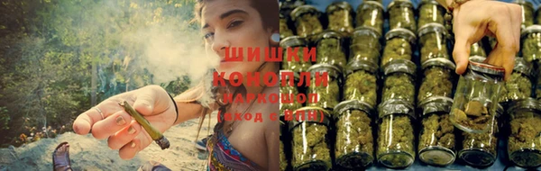 марихуана Абаза