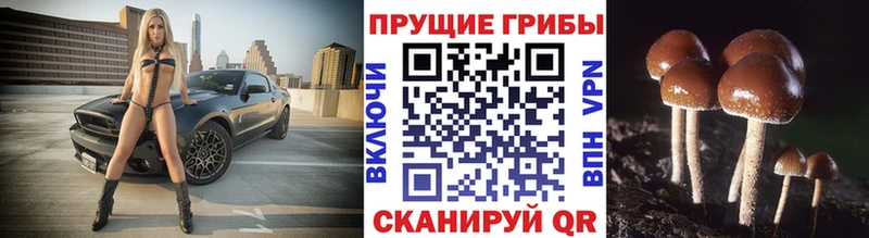 Галлюциногенные грибы мухоморы  Дмитровск 